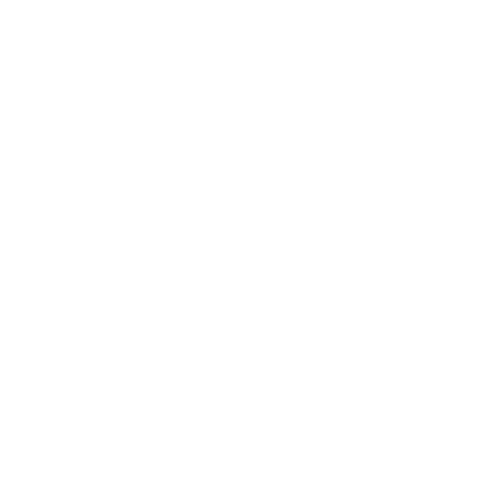 ZOE Pilates Reformer Studio logo